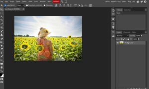 photoshop-mien-phi-com