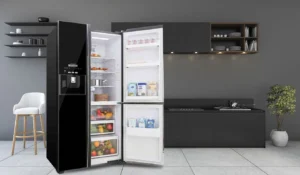 tu-lanh-hitachi-inverter-584-lit-r-fm800gpgv2-2_2